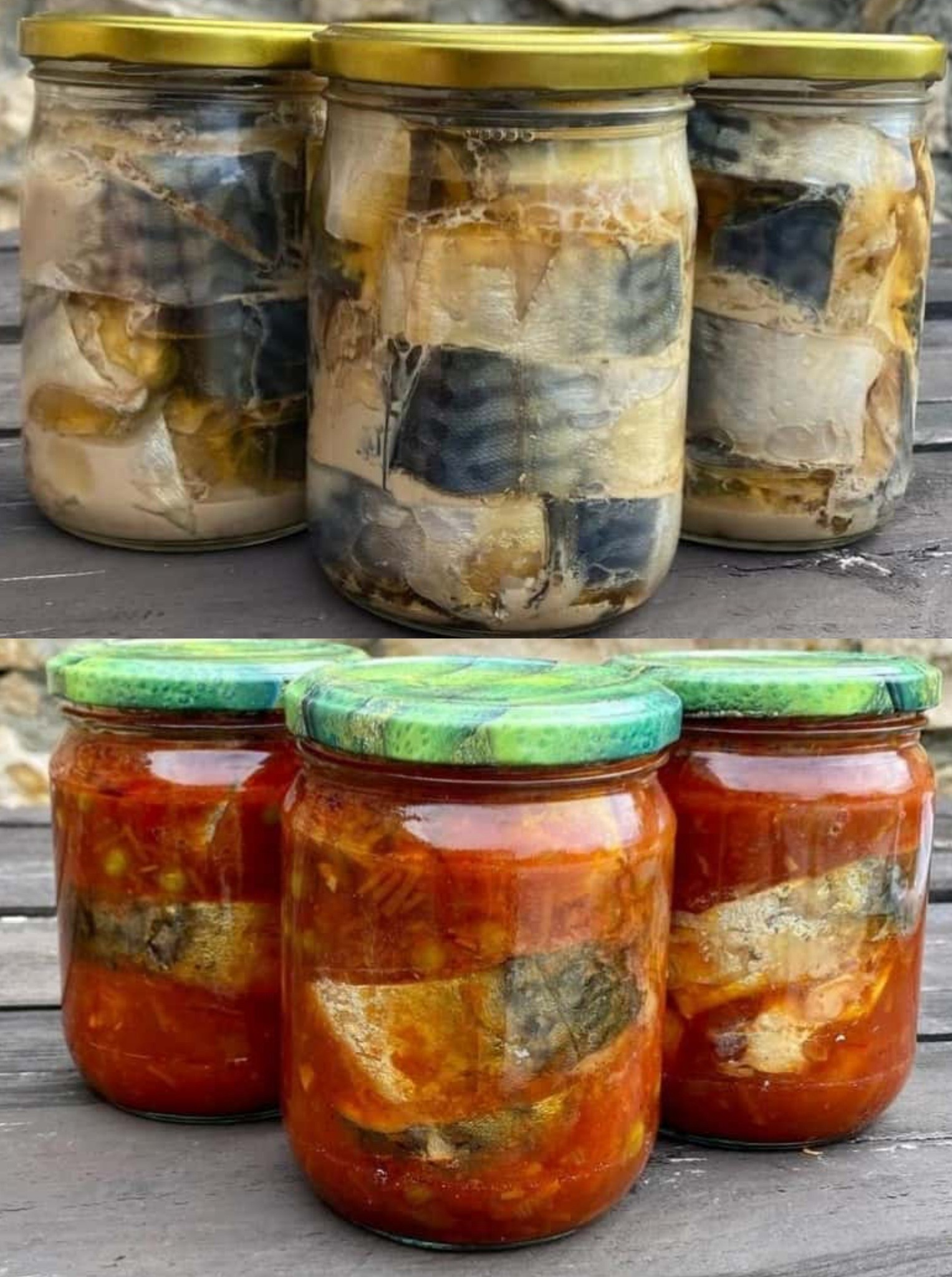 🍽️ Скумбрія в томаті з овочами та скумбрія в олії – 2 дуже смачних рецепти риби в автоклаві