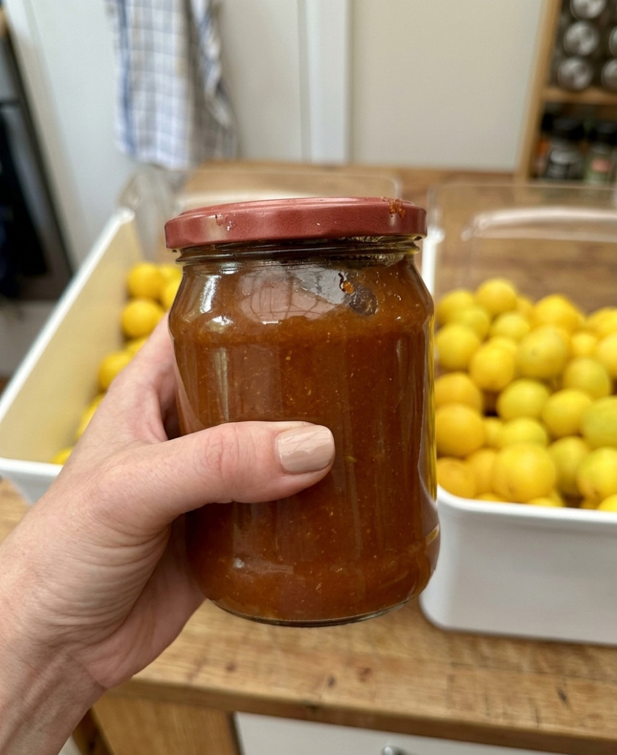 🍽️ Цього року у нас дуже великий врожай, тому я готую джем із жовтої аличі чи сливи на зиму – дуже смачно і взимку дуже рятує