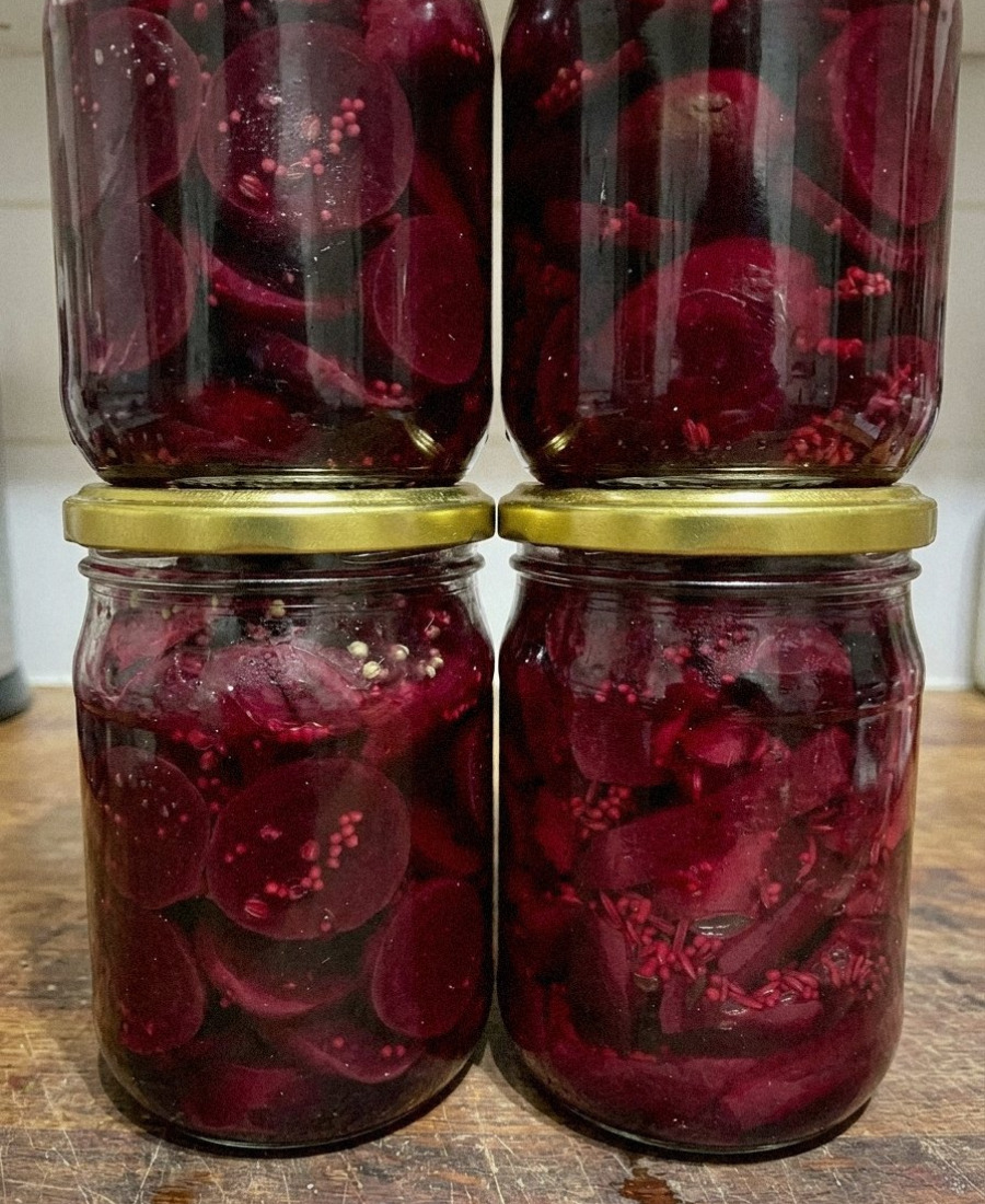🍽️ Маринований буряк із кмином або коріандром на зиму: спробувала – дуже сподобалось, взяла рецепт і приготувала, тепер це одна з улюблених заготовок мого чоловіка